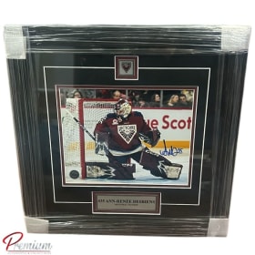 Premium Framing – Ann-Renée Desbiens item