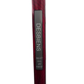 Game-used Ann-Renée Desbiens signed stick item