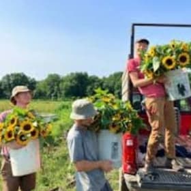 VIP Farm Experience (Late Spring or Summer) item