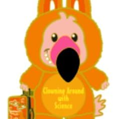 Primary Pin item