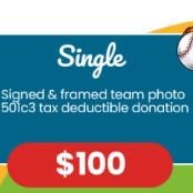 Single Sponsorship item