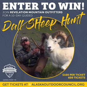Dall Sheep Hunt Raffle item