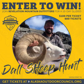Dall Sheep Hunt Raffle item