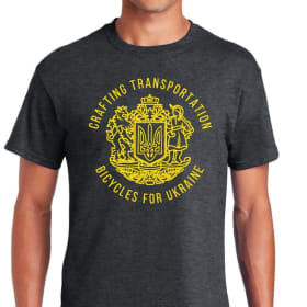 SOFTSTYLE T-SHIRT item