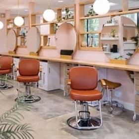 Color and Cut from Salon Synchronicity item