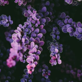 Let's try it out! item