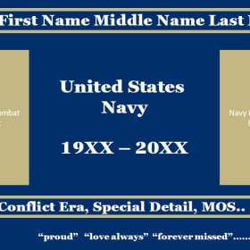 Navy item