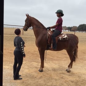 Horseback Riding Lessons item