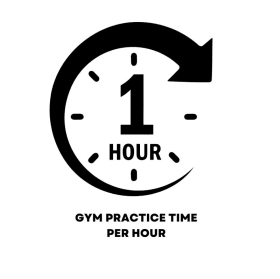 Practice Time (Per Hour) item