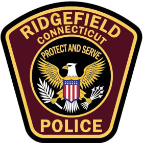 Ride to School in a Police Car item