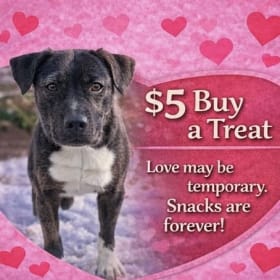 Buy Me a Treat item
