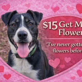 Send Me Flowers item