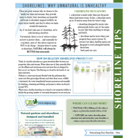 Shoreline Tips item