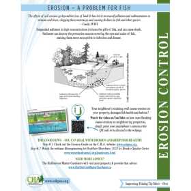 Shoreline Erosion Tips item