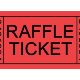 25 REGULAR raffle tickets item