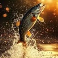 Paul's Guided Fishing Services provided by Crush Wine Bar item