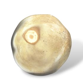 Simon Levin- Meteor Plate item