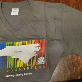 V-neck T-shirt, gray 100% cotton; XL item