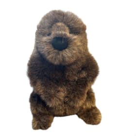 Large Groundhog Plush item