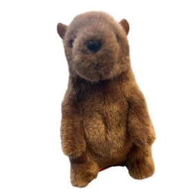 Groundhog Plush item