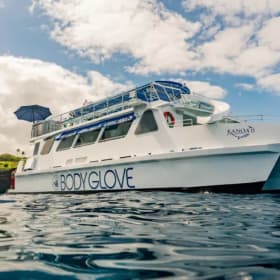 Body Glove Cruises Deluxe Snorkel & Dolphin Watch for Two item