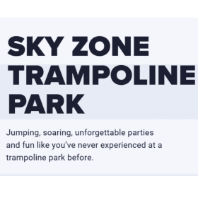Sky Zone VIP Passes (Qty. 2) item