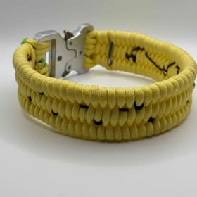 Photo of Spotted Banana Collar