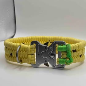 Photo of Spotted Banana Collar