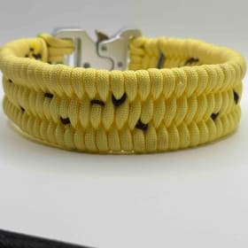 Photo of Spotted Banana Collar