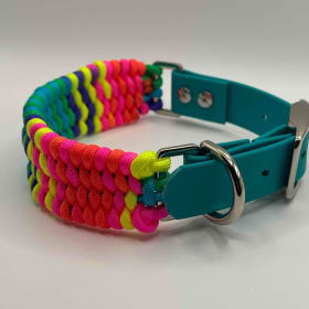 Photo of Rainbow Collar