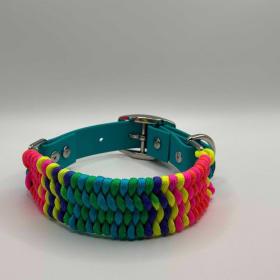 Photo of Rainbow Collar