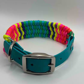 Photo of Rainbow Collar