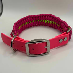 Photo of Pink & Green Collar