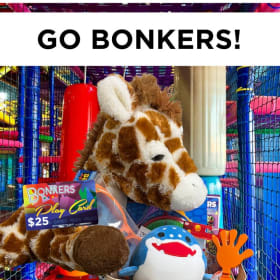 Bonker's Basket item