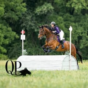 Stabling at Queeny Park Horse Trials- St. Louis, MO item