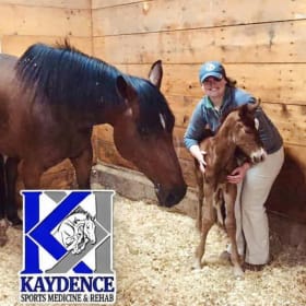 $100 Gift Certificate to Kaydence Sports Medicine and Rehab item