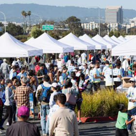 10x10 space WITHOUT CANOPY item