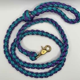 Photo of Leash