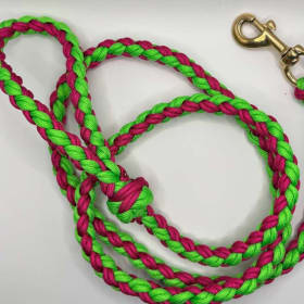 Photo of Leash
