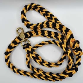 Photo of Flat Leash