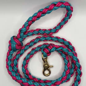 Photo of Leash-Pink and Teal