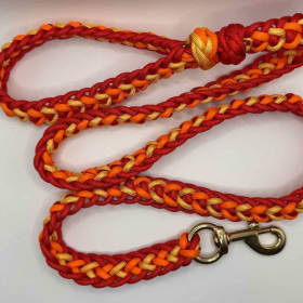 Photo of Flat Leash