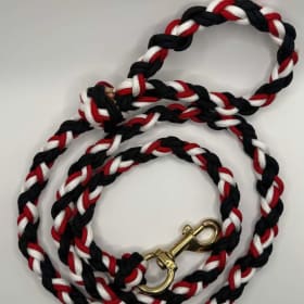 Photo of Leash