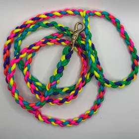 Photo of Leash 2 strand