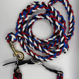 Photo of Matching Collar and Leash Set