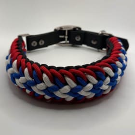 Photo of Matching Collar and Leash Set