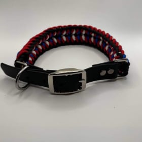 Photo of Matching Collar and Leash Set