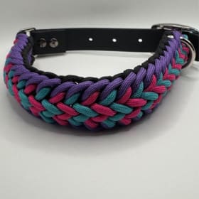 Photo of Collar