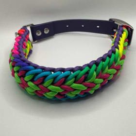 Photo of Collar