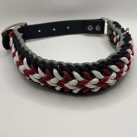 Photo of Collar